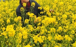 中文字幕看片在线a免费